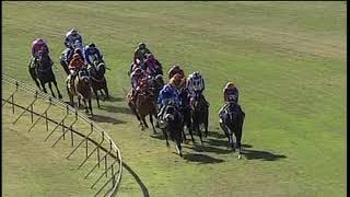 Vidéo de la course PMU PRIX POST ASTROLOGY MAIDEN PLATE