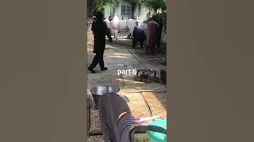 Fatehjangi Bull Qurbani 2022 Dangerous Cow Qurbani Part 6 Vlogsbywasifsheikh Youtube Shorts 