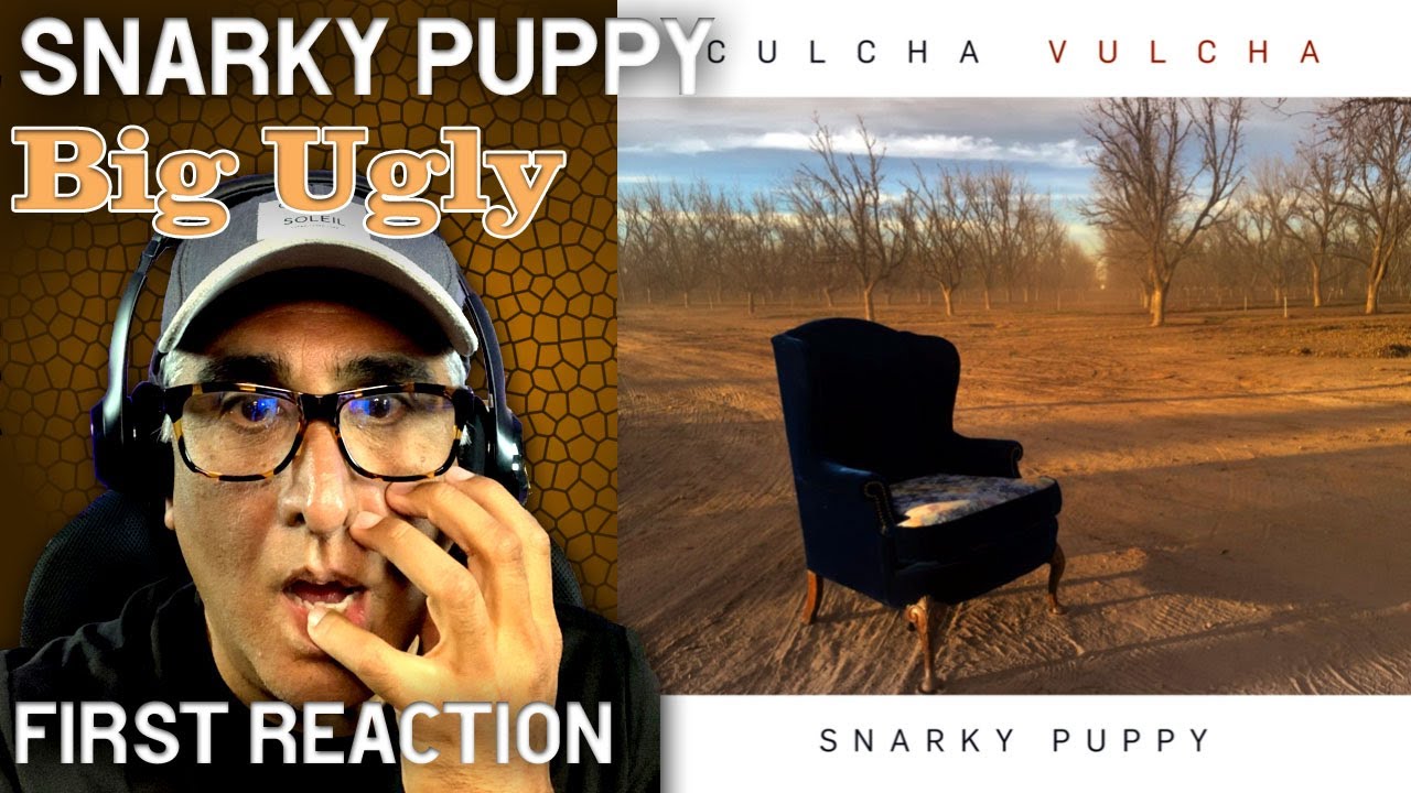 Musician/Producer Reacts to "Big Ugly" by Snarky Puppy Musician/Producer Reacts to "Big Ugly" by Snarky Puppy