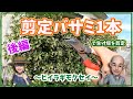 【庭木の剪定】生け垣を剪定バサミ一本で剪定/家族で手軽に庭木をお手入れ(ヒイラギモクセイ)【後編】
