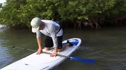 Stand Up Paddling - Getting Started