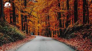 Inreload - Autumn Memories