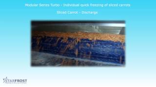 IQF Vegetables - Sliced Carrots on IQF Freezer Tunnel