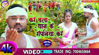 Ropaniya Special Video /करे चला धान के रोपनिया करे// Kare Chala Dhan Ke Ropaniya Kare // Dilip Raja