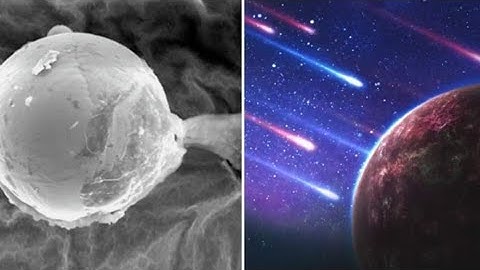 Key Building Blocks for Life Discovered in Cloud of Our Galaxy