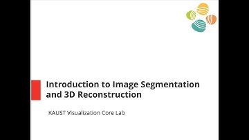 Introduction to Image Segmentation and 3D Reconstruction (Spring 2021)