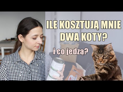 Wideo: Felix Karma Dla Kotów - Recenzje