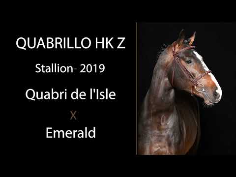 N° 1 QUABRILLO HK Z - For sale at The Youngsters Auction AS 111 - Sat 6 MAY 2023 - 8PM CEST