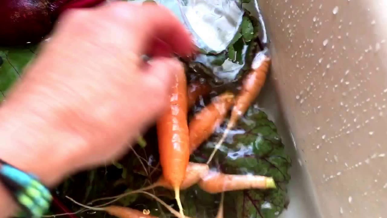 Shelly's greenhouse April 2016 YouTube