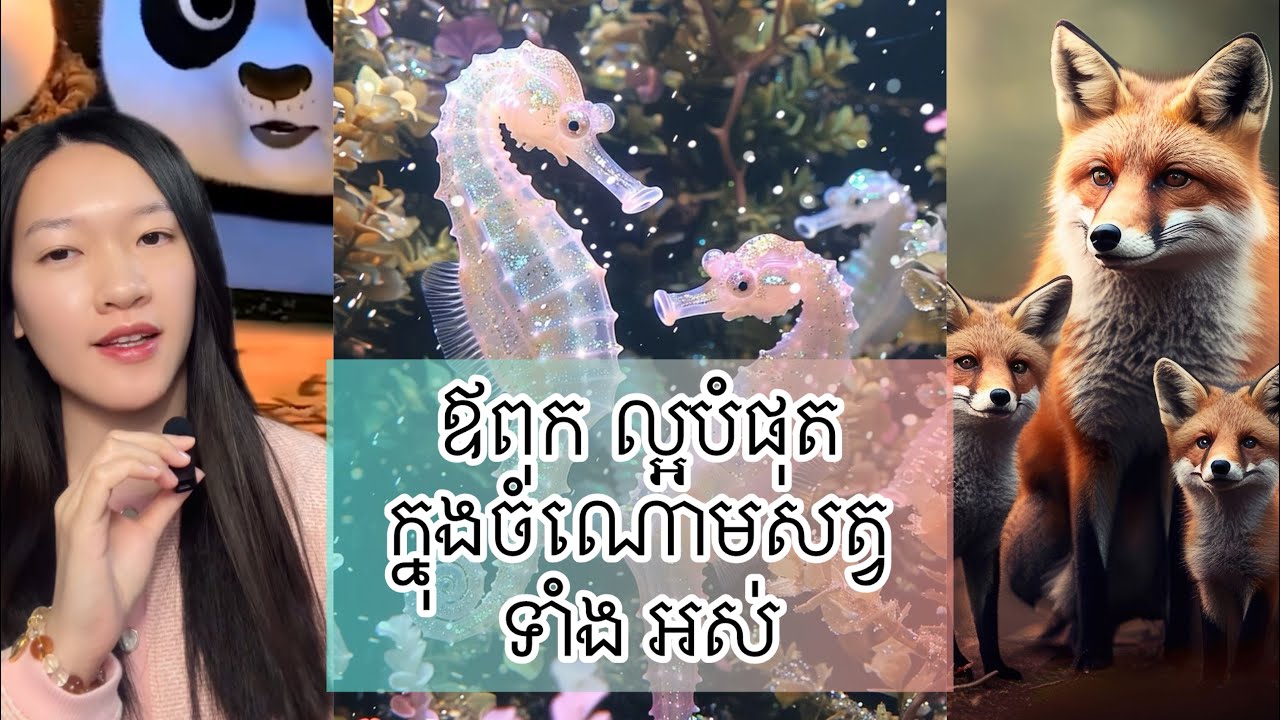 ឪពុក ល្អបំផុត ក្នុងចំណោមសត្វទាំងអស់ - Best father in the animal kingdom