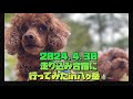 走り込み合宿に行ってみたin八ヶ岳⛰