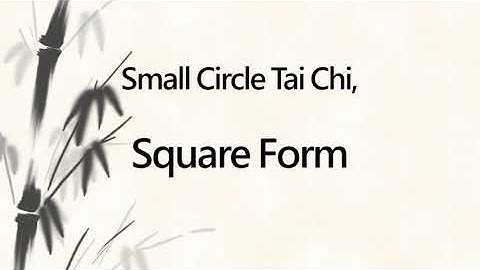 Classical Tai Chi Square Form