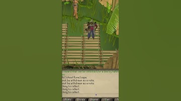 We Trained an AI to get 99 Hunter in OSRS. (No breaks, no bans, 24/7).