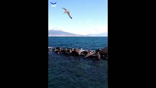 Lungomare di Napoli