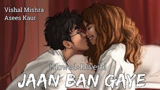 Jaan Ban Gaye [Slowed+Reverb] Vishal Mishra | Asees Kaur | Insta Feel  Lo-Fi | RaMe Music