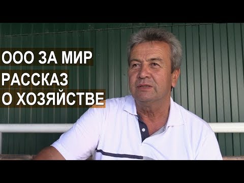 Руководитель ООО "За Мир" (Крым) Смедляев С.Р. Поднять колхоз с долгом в 1 млн $ Зерновые 5000га