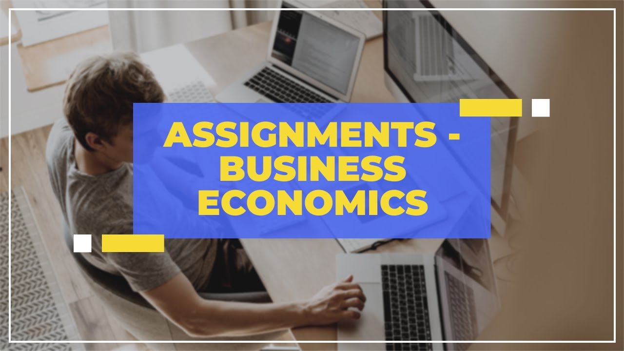 business economics assignment nmims