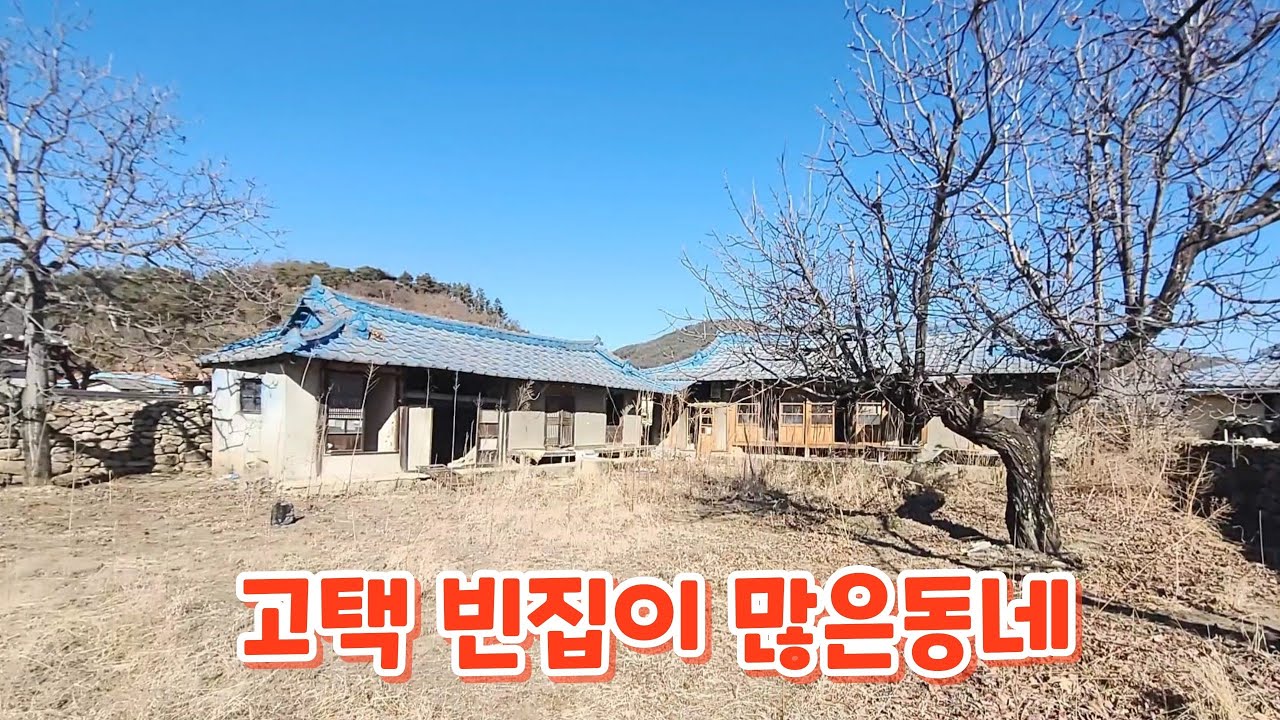 임대빈집을 찾아서 동네한바퀴ㅡ28. / 경북 예천군 용문면 금당실마을