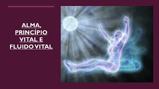 Alma, Princípio Vital e Fluído Vital