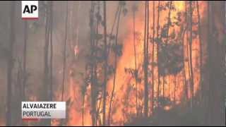 Raw Video: Portugal's Firefighters Battle Blazes