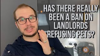 Can landlords still refuse pets The “New Law” and how it’s not quite what you think - Lets Talk