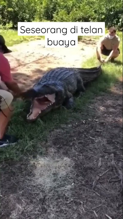 #mukidi #youtube #gym #gymmotivation #youtubeshorts #irfanhaider