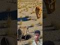 king of suor #shortsvideo