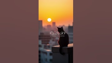 ‏احترم القرآن الكريم❤️