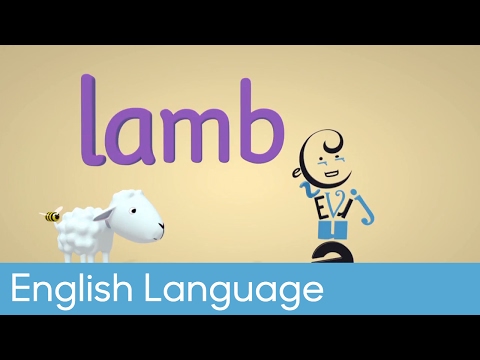 Silent letter 'b' | Primary English - Wonderful Words