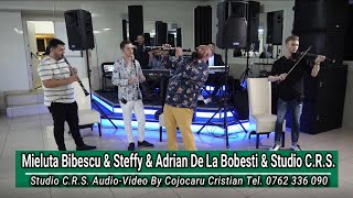 Mieluta Bibescu & Steffy & Adrian De La Bobesti & Studio C.R.S. - Program Lautaresc Live Bucuresti