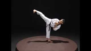 Basic Motions - CHAGI - Taekwondo Technics in English [HD]