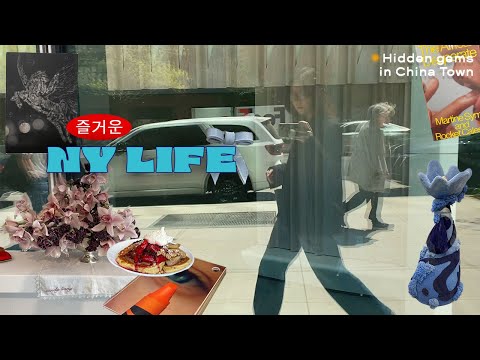 [NYC DIARIES / 뉴욕 브이로그] 차이나타운에 이런 숨겨진 빈티지 샵들이??/LES 탐방/ 건강한게 힙한거야 DIMES/ 너무 귀여운 뉴욕 모먼트들 ☀︎