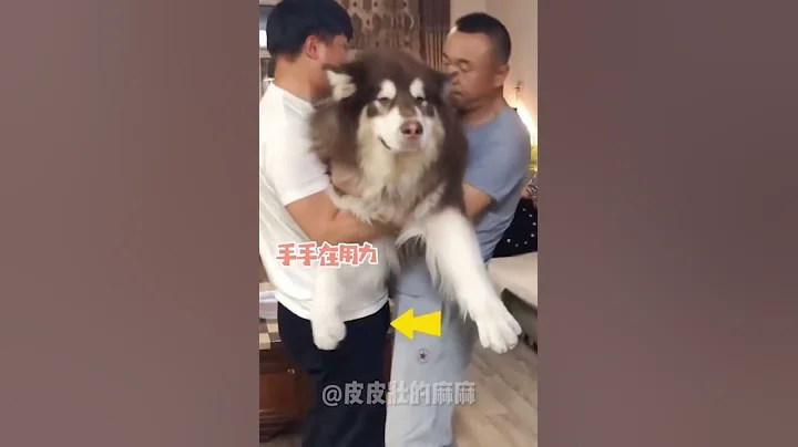 试图揭秘百斤猛男耿壮壮的真实体重 - 天天要闻