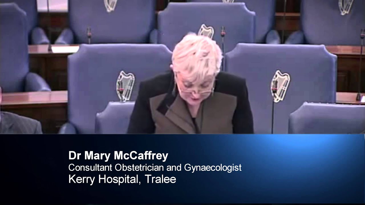 Health Committee Hearings on Abortion Expert Highlights