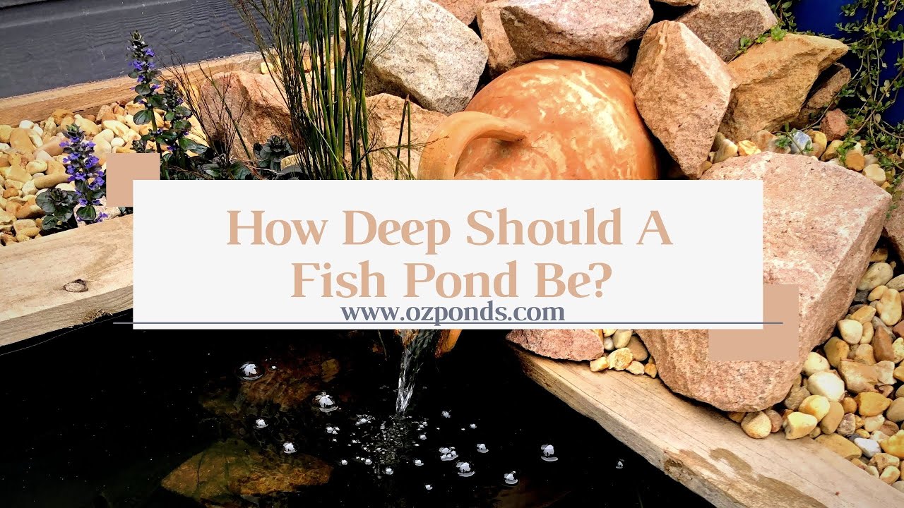 Can A Pond Be Too Deep?