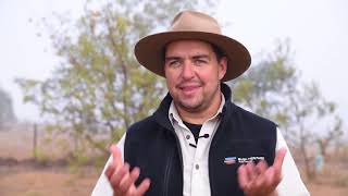 Ecological Volunteers at Bush Heritage Australia's Scottsdale Reserve