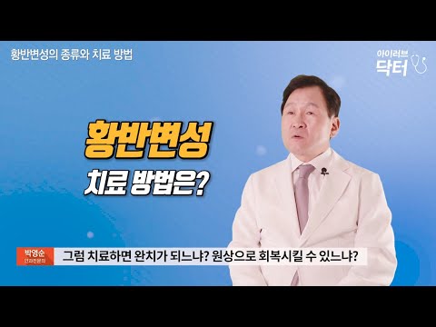 먹기만 잘해도 실명 원인 1위 &rsquo;황반변성&rsquo; 예방! 안과의사가 추천하는 눈 건강 음식