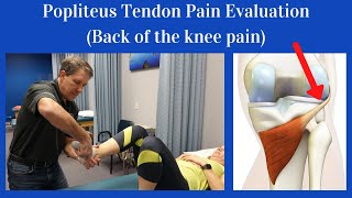 Popliteus Tendon Evaluation [Back of the knee pain] screenshot 3