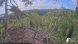J E20260917 101830JaysCallsEagletCalls