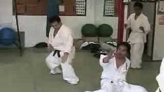 Ashihara Karate USA