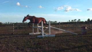 Resoluut Free Jumping