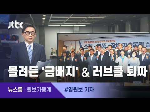 [원보가중계] ①몰려든 '금배지' ② 러브콜 일단 퇴짜 ③고양이 유령? / JTBC 뉴스룸