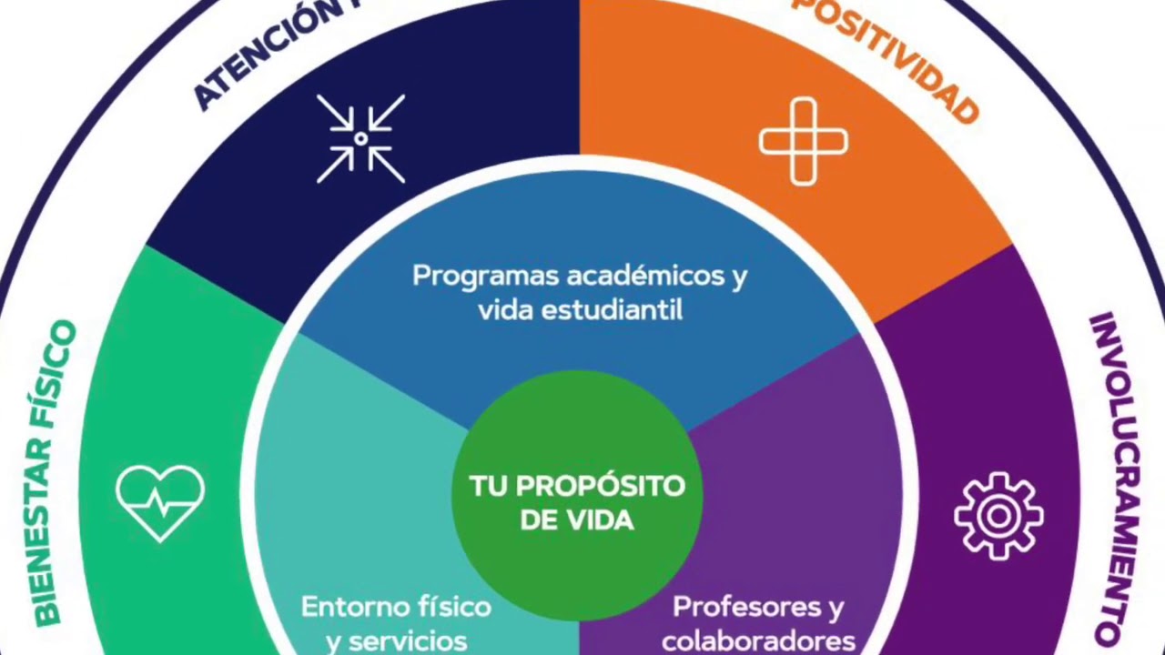 Elementos Del Ecosistema De Bienestar Y Felicidad www.youtube.com