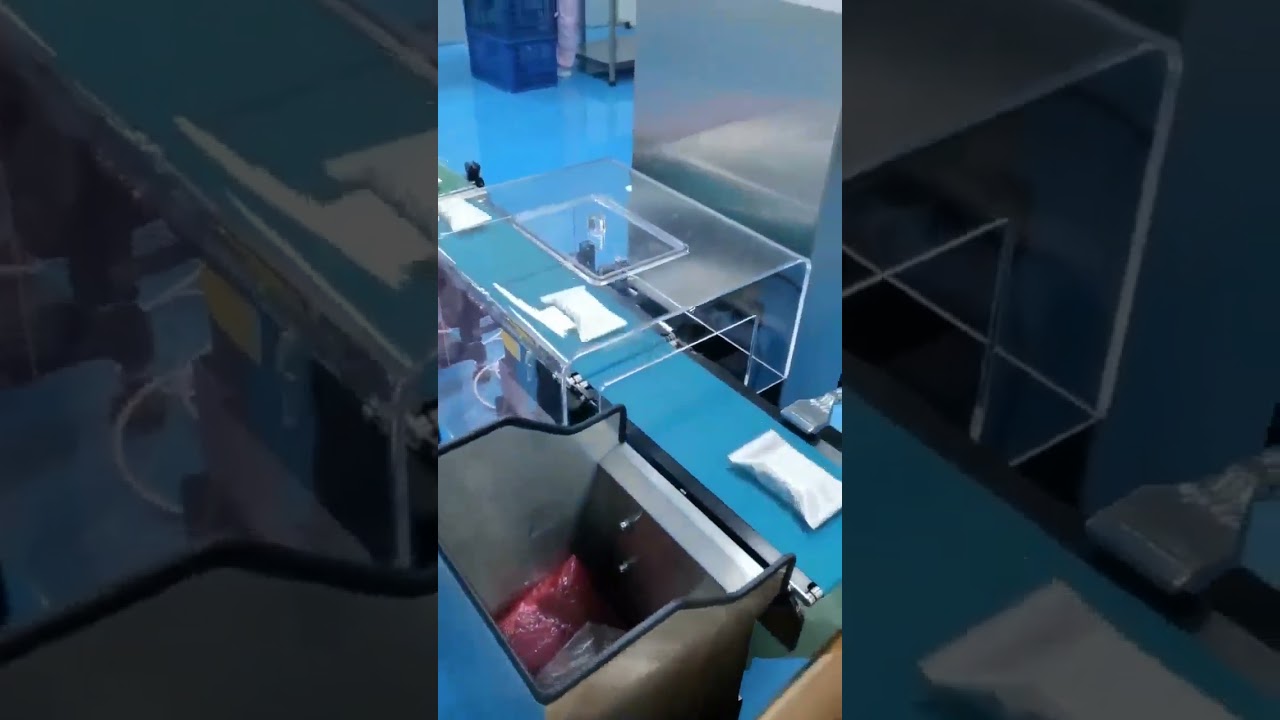 Online Dynamic Weight Checker Food Checkweigher Machine Check Weigher