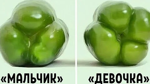 Покупай болгарский перец по этому признаку — и не прогадаешь! Совершенно разный вкус