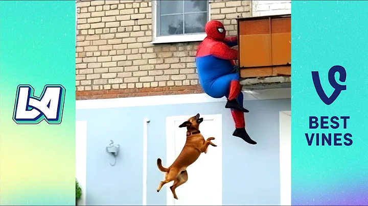 Top 50 Best Funny Videos In 2025 - Craziest Funny Fails