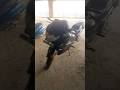 old legend Hero Karizma bike beautiful bike HM SPEED VLOGS #karizma