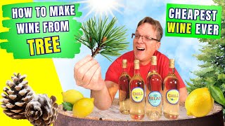 Wine From a Tree - Turn Pine Needles into Amazing Wine Step by Step Guide