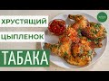 Цыпленок табака (тапака). Как пожарить цыпленка на сковорде по грузинскому рецепту