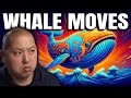 [PAY ATTENTION] The Bitcoin Whales Are Making Their Moves!